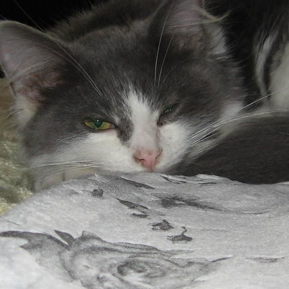 Meet your Posher, Marianne